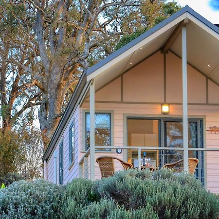 Grace Cottages Uralla エクステリア 写真