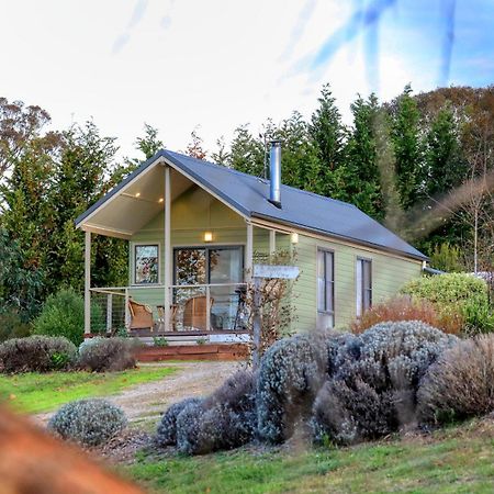 Grace Cottages Uralla エクステリア 写真