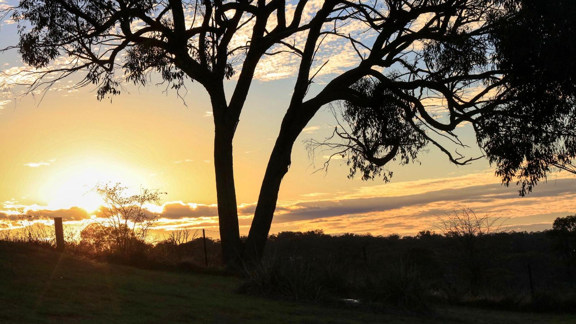 Grace Cottages Uralla エクステリア 写真