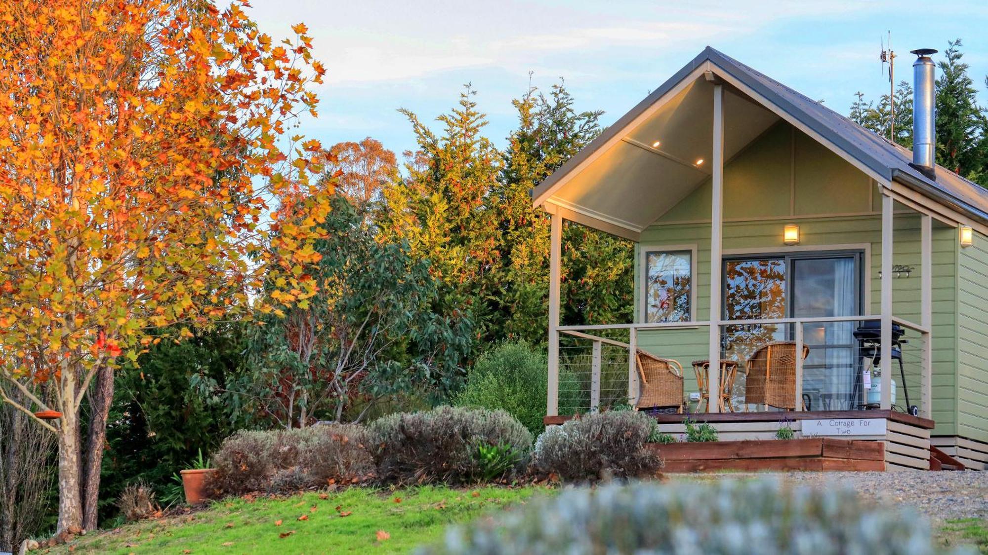 Grace Cottages Uralla エクステリア 写真