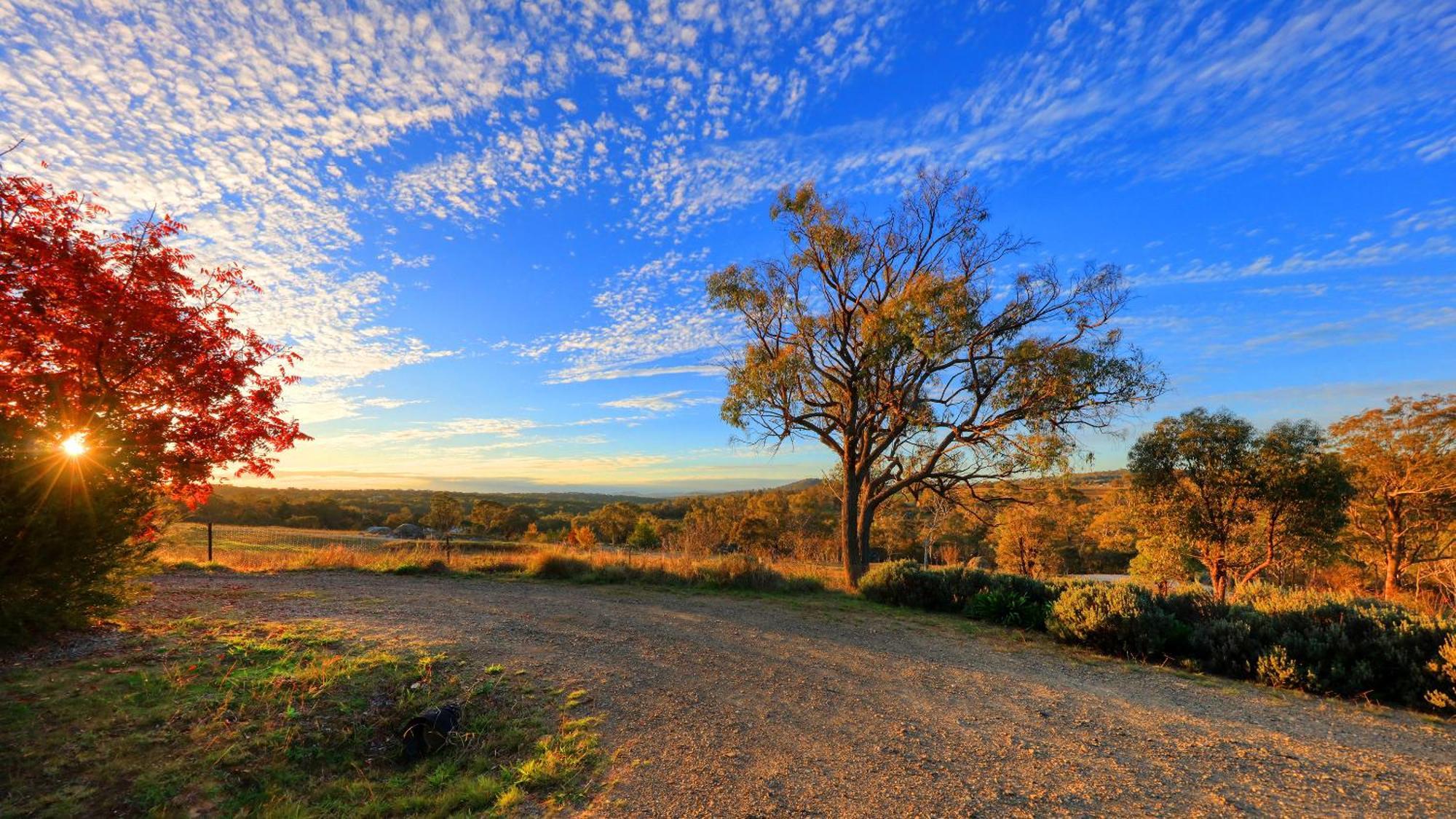 Grace Cottages Uralla エクステリア 写真